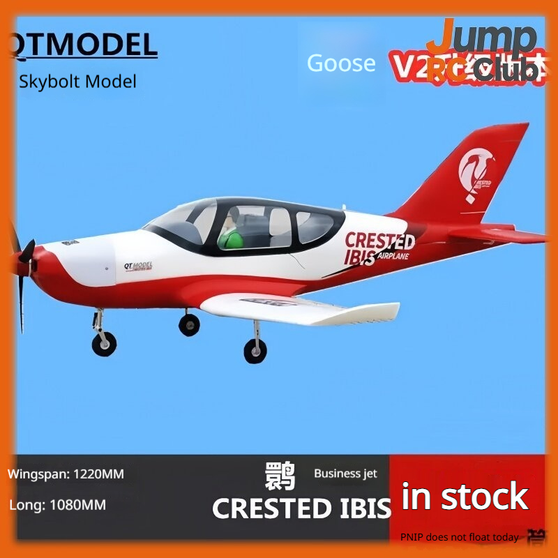 Rc Hobby Plane - QT Model Rc Remote Control Airplane