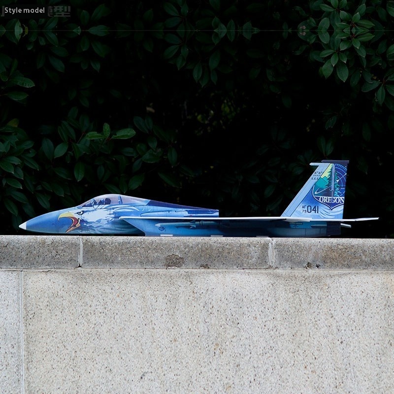 F15 Fighter Jet 740mm Wingspan - Rc Hobby Plane 评论和价格